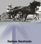Harness Horse Racing