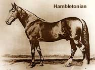 Hambletonian